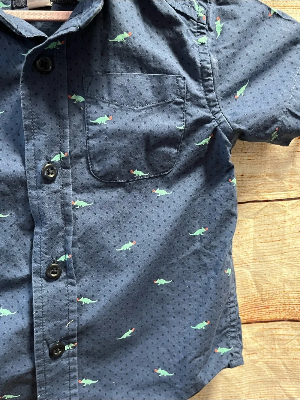 The Children’s Place iguana shirt-Boys 12/18 months